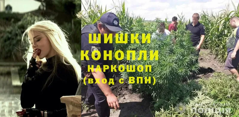 Конопля White Widow  Ливны 